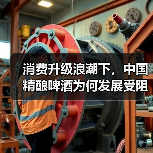 消费升级浪潮下，中国精酿啤酒为何发展受阻？（图4）