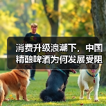 消费升级浪潮下，中国精酿啤酒为何发展受阻？（图3）