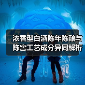 浓香型白酒陈年陈酿与陈窖工艺成分异同解析（图2）