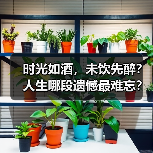 时光如酒,未饮先醉?人生哪段遗憾最难忘?(图2) 时光如酒,未饮先醉?人生哪段遗憾最难忘?(图2)