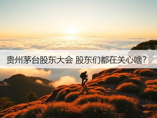 贵州茅台股东大会 股东们都在关心啥?(图4) 贵州茅台股东大会 股东们都在关心啥?(图4)
