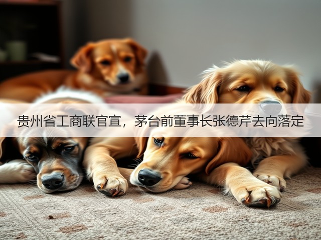 贵州省工商联官宣,茅台前董事长张德芹去向落定(图2) 贵州省工商联官宣,茅台前董事长张德芹去向落定(图2)