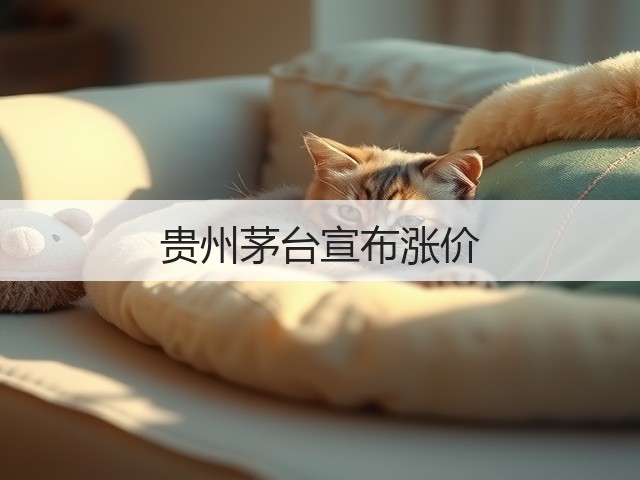 贵州茅台宣布涨价(图1) 贵州茅台宣布涨价(图1)