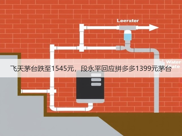 飞天茅台跌至1545元,段永平回应拼多多1399元茅台(图3) 飞天茅台跌至1545元,段永平回应拼多多1399元茅台(图3)