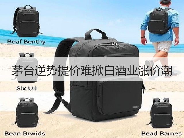 茅台逆势提价难掀白酒业涨价潮(图1)