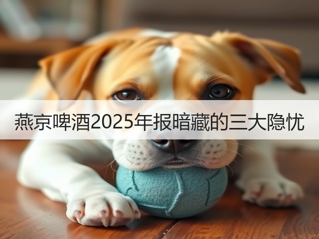 燕京啤酒2025年报暗藏的三大隐忧(图2) 燕京啤酒2025年报暗藏的三大隐忧(图2)
