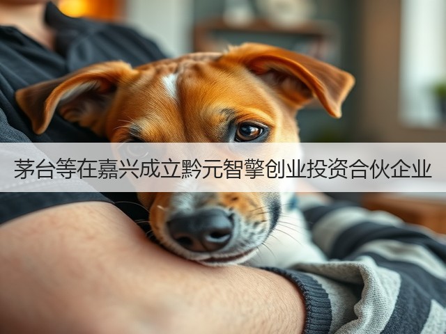 茅台等在嘉兴成立黔元智擎创业投资合伙企业(图1)