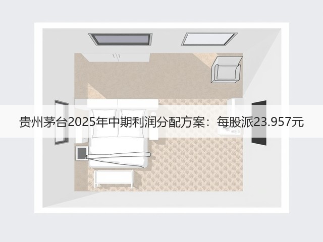 贵州茅台2025年中期利润分配方案：每股派23.957元(图4)