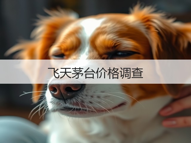 飞天茅台价格调查(图1) 飞天茅台价格调查(图1)