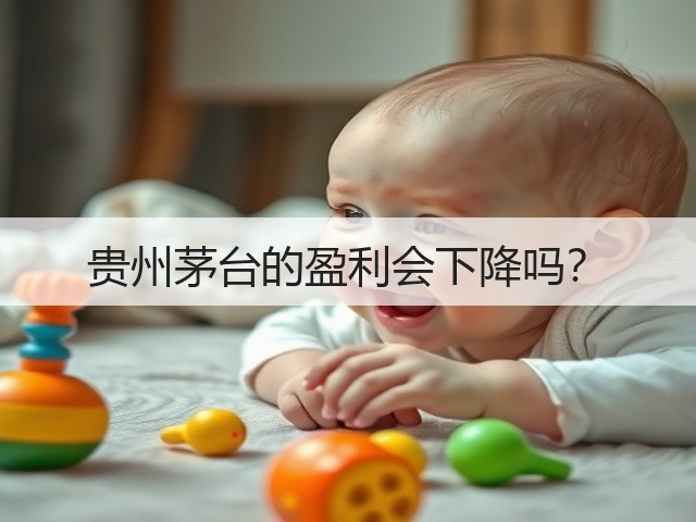贵州茅台的盈利会下降吗?(图1) 贵州茅台的盈利会下降吗?(图1)