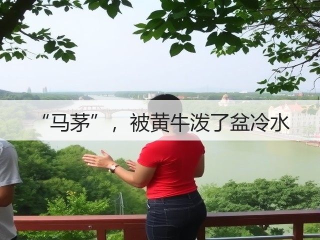 “马茅”，被黄牛泼了盆冷水(图2)