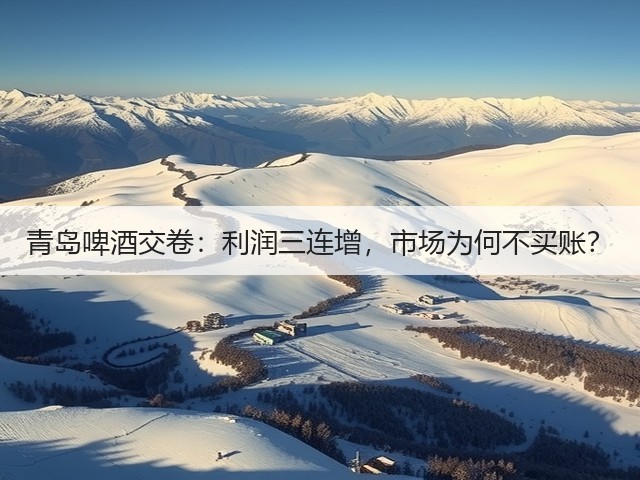 青岛啤酒交卷:利润三连增,市场为何不买账?(图5) 青岛啤酒交卷:利润三连增,市场为何不买账?(图5)