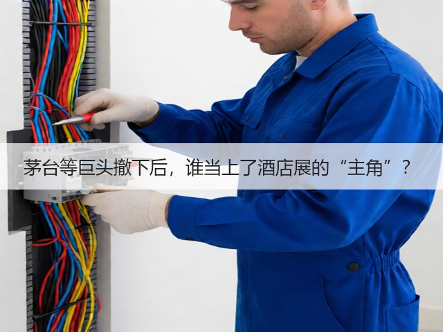 茅台等巨头撤下后,谁当上了酒店展的“主角”?(图3) 茅台等巨头撤下后,谁当上了酒店展的“主角”?(图3)