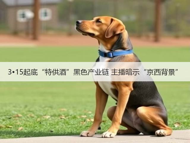 3•15起底“特供酒”黑色产业链 主播暗示“京西背景”(图4)