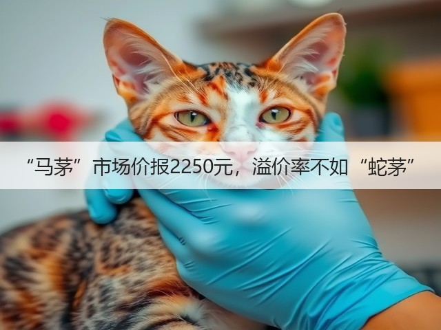 “马茅”市场价报2250元，溢价率不如“蛇茅”(图1)