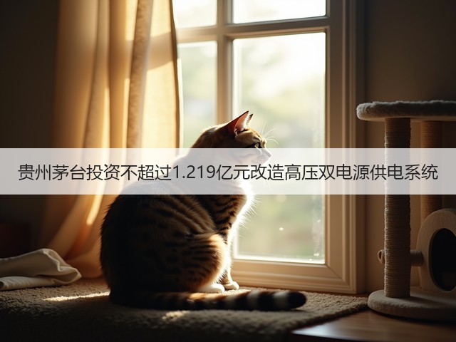 贵州茅台投资不超过1.219亿元改造高压双电源供电系统(图6) 贵州茅台投资不超过1.219亿元改造高压双电源供电系统(图6)