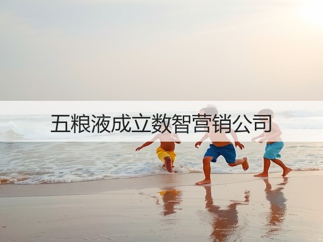 五粮液成立数智营销公司(图1)