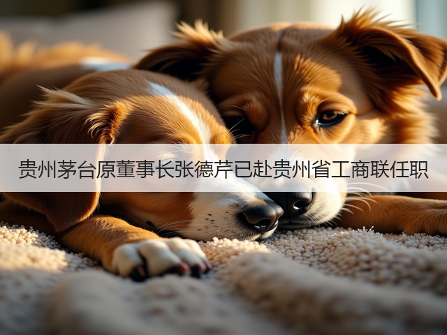 贵州茅台原董事长张德芹已赴贵州省工商联任职(图4)