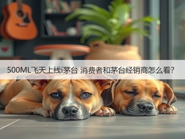 500ML飞天上线i茅台 消费者和茅台经销商怎么看?(图1) 500ML飞天上线i茅台 消费者和茅台经销商怎么看?(图1)