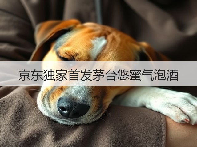 京东独家首发茅台悠蜜气泡酒(图3)
