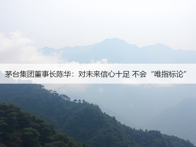 茅台集团董事长陈华：对未来信心十足 不会“唯指标论”(图2)