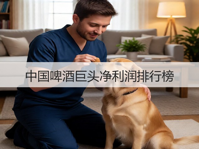 中国啤酒巨头净利润排行榜(图2)