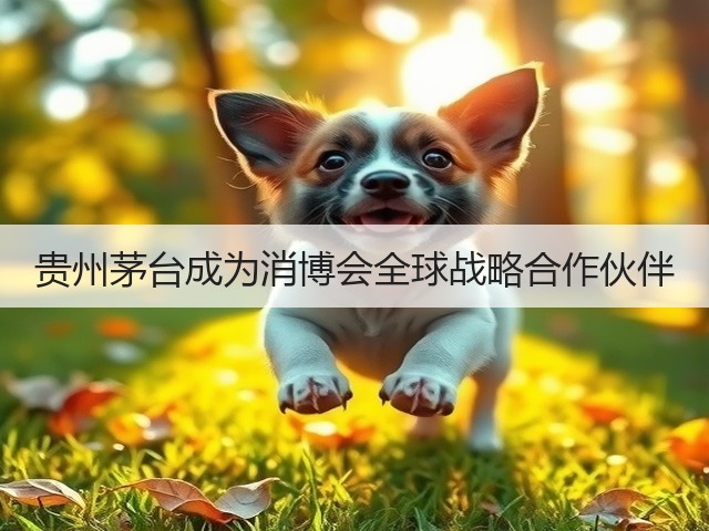 贵州茅台成为消博会全球战略合作伙伴(图1) 贵州茅台成为消博会全球战略合作伙伴(图1)