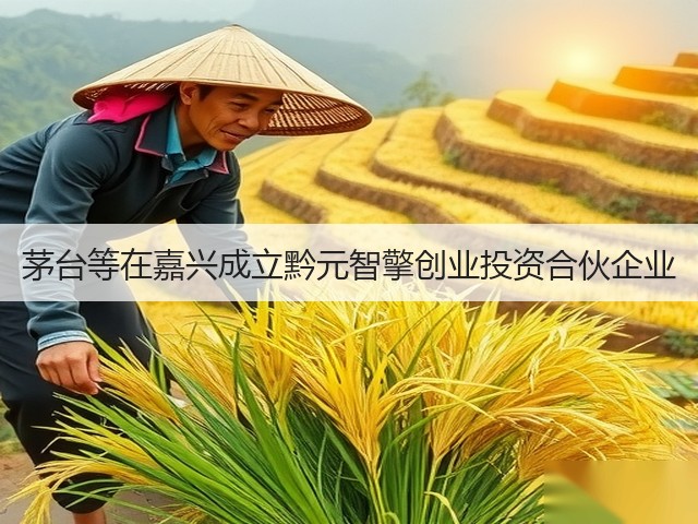 茅台等在嘉兴成立黔元智擎创业投资合伙企业(图5)
