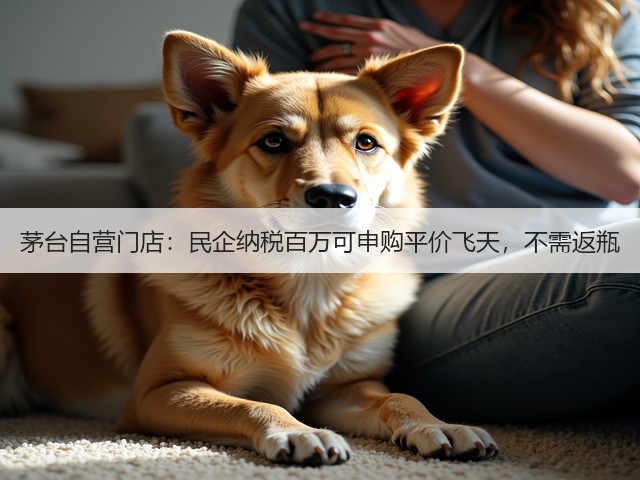 茅台自营门店:民企纳税百万可申购平价飞天,不需返瓶(图3) 茅台自营门店:民企纳税百万可申购平价飞天,不需返瓶(图3)