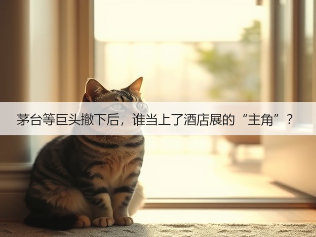 茅台等巨头撤下后,谁当上了酒店展的“主角”?(图6) 茅台等巨头撤下后,谁当上了酒店展的“主角”?(图6)