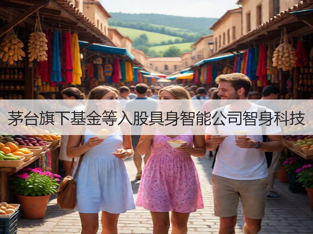茅台旗下基金等入股具身智能公司智身科技(图3) 茅台旗下基金等入股具身智能公司智身科技(图3)