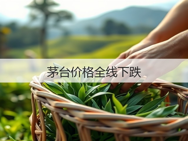 茅台价格全线下跌(图2)