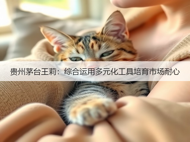 贵州茅台王莉：综合运用多元化工具培育市场耐心(图3)
