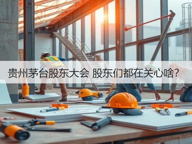 贵州茅台股东大会 股东们都在关心啥?(图2) 贵州茅台股东大会 股东们都在关心啥?(图2)