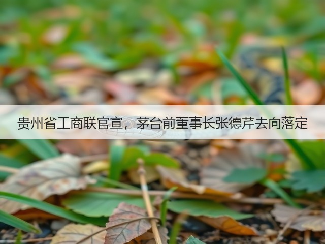贵州省工商联官宣,茅台前董事长张德芹去向落定(图5) 贵州省工商联官宣,茅台前董事长张德芹去向落定(图5)