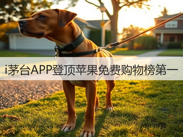 i茅台APP登顶苹果免费购物榜第一(图2)