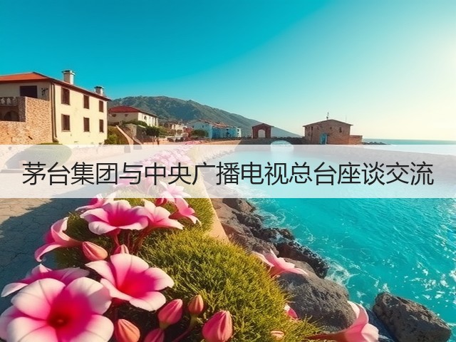 茅台集团与中央广播电视总台座谈交流(图6)