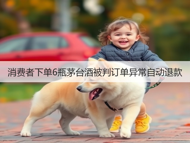 消费者下单6瓶茅台酒被判订单异常自动退款(图5) 消费者下单6瓶茅台酒被判订单异常自动退款(图5)