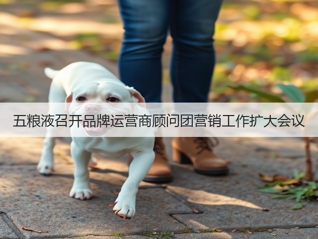 五粮液召开品牌运营商顾问团营销工作扩大会议(图2) 五粮液召开品牌运营商顾问团营销工作扩大会议(图2)