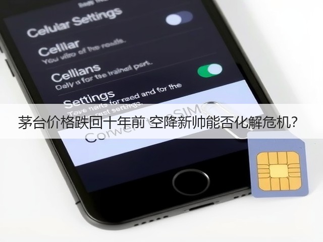 茅台价格跌回十年前 空降新帅能否化解危机?(图4) 茅台价格跌回十年前 空降新帅能否化解危机?(图4)