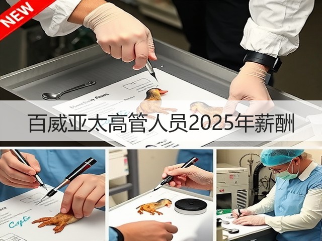 百威亚太高管人员2025年薪酬(图6) 百威亚太高管人员2025年薪酬(图6)