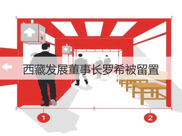 西藏发展董事长罗希被留置(图2) 西藏发展董事长罗希被留置(图2)