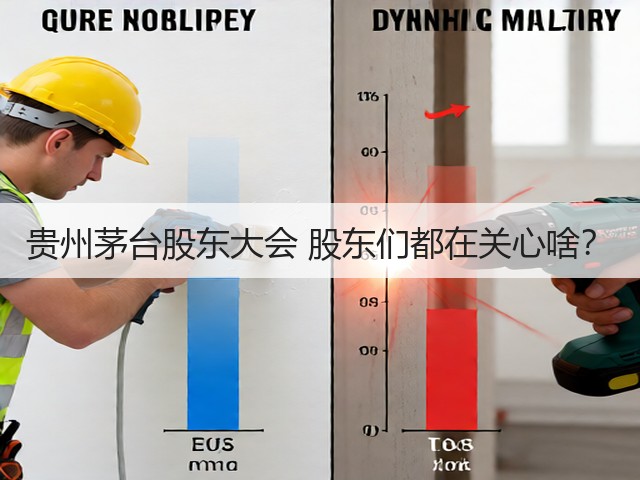贵州茅台股东大会 股东们都在关心啥?(图5) 贵州茅台股东大会 股东们都在关心啥?(图5)