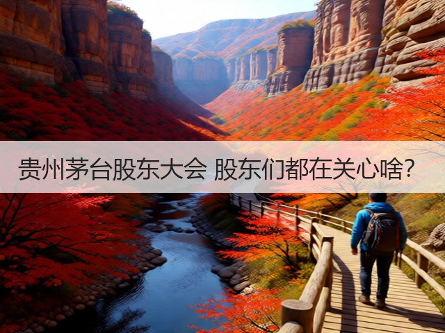 贵州茅台股东大会 股东们都在关心啥?(图6) 贵州茅台股东大会 股东们都在关心啥?(图6)