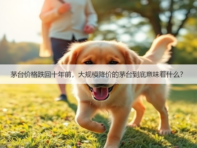 茅台价格跌回十年前，大规模降价的茅台到底意味着什么？(图1)