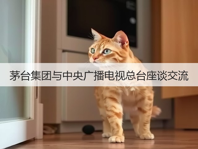 茅台集团与中央广播电视总台座谈交流(图4)